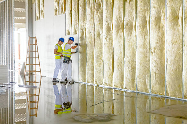 Best Commercial Insulation in Yorba Linda, CA